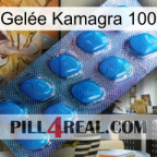 Gelée Kamagra 100 viagra1